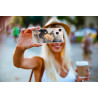 Coque souple transparente pour iPhone 13 - Marbre noir & or
