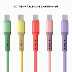 Pack famille de 5 cables Lightning de charge rapide et de...