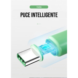 Pack famille de 5 cables Lightning de charge rapide et de...