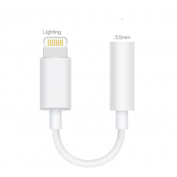 Adaptateur Audio Jack 3,5mm vers Lightning