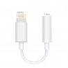 Adaptateur Audio Jack 3,5mm vers Lightning