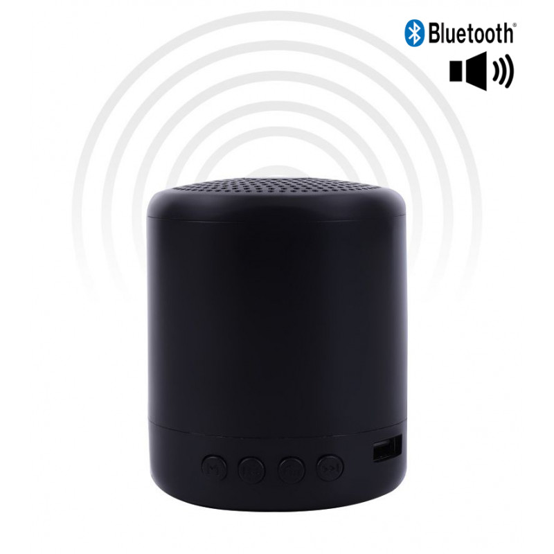 Mini haut - parleur Bluetooth portable - Noir