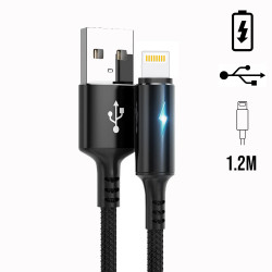 Cable USB - A de charge et de synchronisation vers Lightning en...