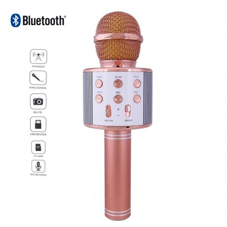 Haut parleur microphone karaoke Bluetooth - Rose or