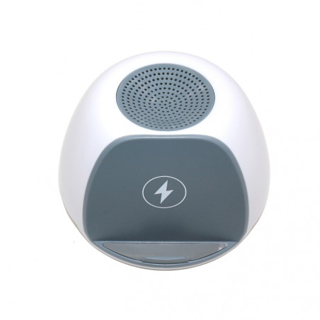Mini haut - parleur sans fil Bluetooth portables avec chargeur a...