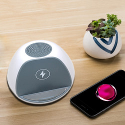 Mini haut - parleur sans fil Bluetooth portables avec chargeur a...