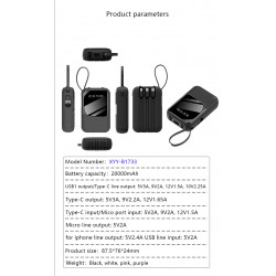 Powerbank Compacte 20000 mAh avec set de cable USB integre - Noir