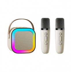 Karaoke avec enceinte bluetooth 5W et 2 microphones Bluetooth - Blanc