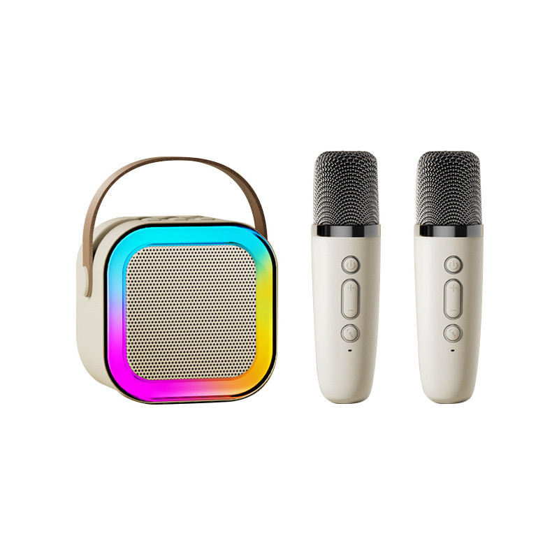 Karaoke avec enceinte bluetooth 5W et 2 microphones Bluetooth - Blanc