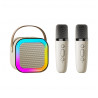 Karaoke avec enceinte bluetooth 5W et 2 microphones Bluetooth - Blanc