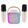 Karaoke avec enceinte bluetooth 5W et 2 microphones Bluetooth - Blanc