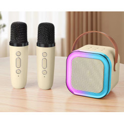 Karaoke avec enceinte bluetooth 5W et 2 microphones Bluetooth - Blanc
