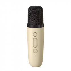 Karaoke avec enceinte bluetooth 5W et 2 microphones Bluetooth - Blanc
