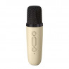 Karaoke avec enceinte bluetooth 5W et 2 microphones Bluetooth - Blanc