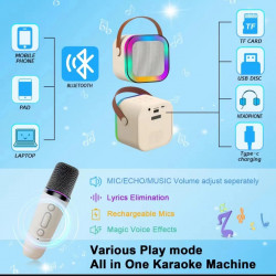 Karaoke avec enceinte bluetooth 5W et 2 microphones Bluetooth - Blanc