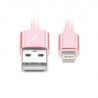 Cable USB de charge et de synchronisation vers Lightning - 2 m