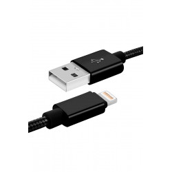 Cable USB de charge et de synchronisation vers Lightning - 2 m