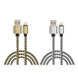 Lot de 2 cables de charge et de synchronisation Lightning - Gris et or