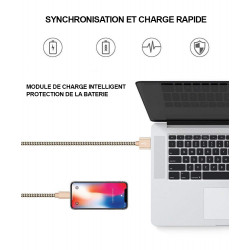 Lot de 2 cables de charge et de synchronisation Lightning - Gris et or