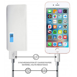 Lot de 2 cables de charge et de synchronisation Lightning - Gris et or