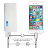 Lot de 2 cables de charge et de synchronisation Lightning - Gris et or