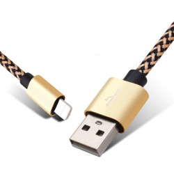 Lot de 2 cables de charge et de synchronisation Lightning - Gris et or