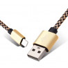 Lot de 2 cables de charge et de synchronisation Lightning - Gris et or