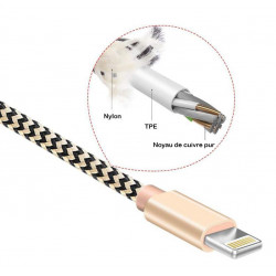 Lot de 2 cables de charge et de synchronisation Lightning - Gris et or