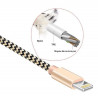 Lot de 2 cables de charge et de synchronisation Lightning - Gris et or